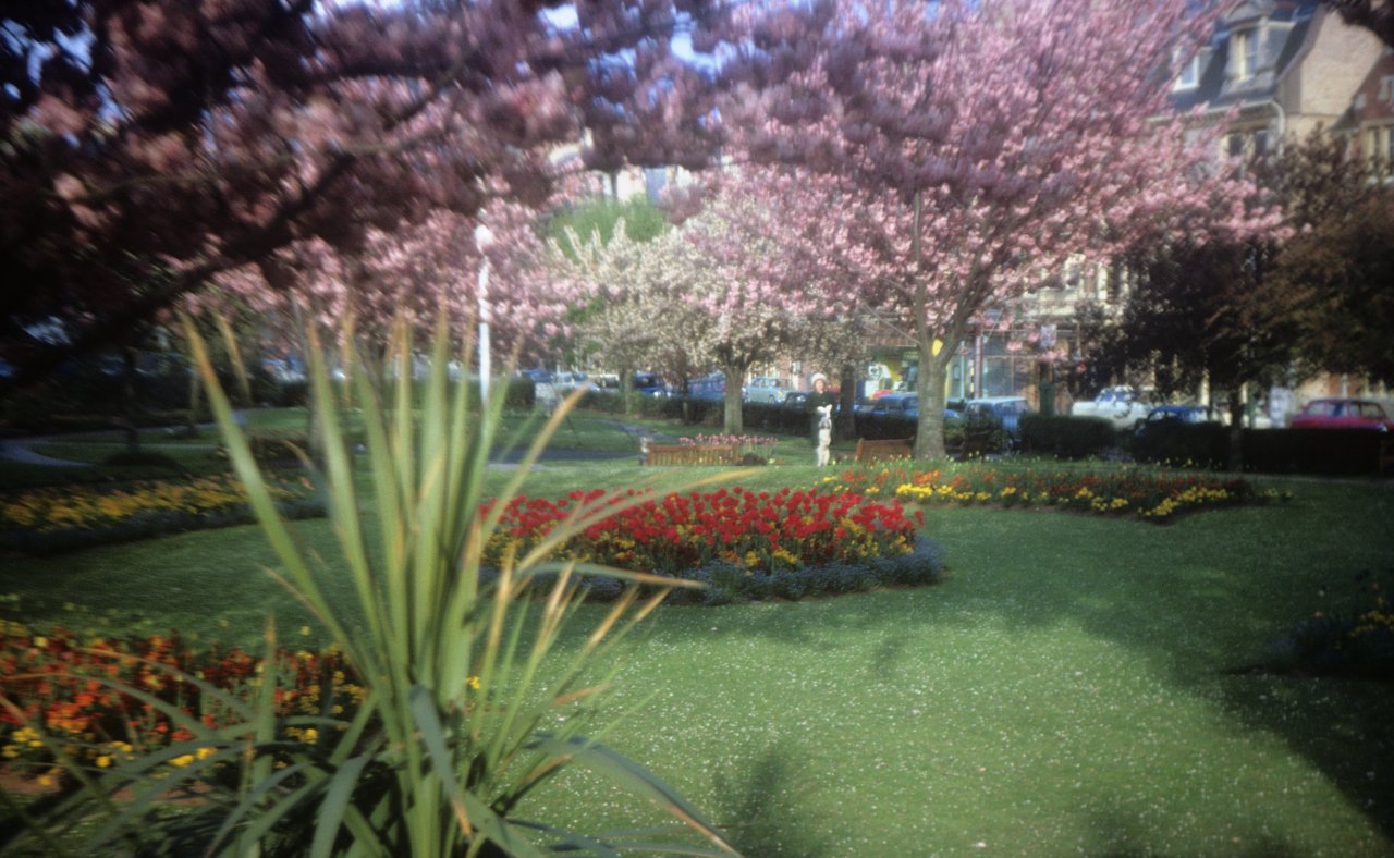 190 Mum on Palace Avenue in Spring June 1963-s